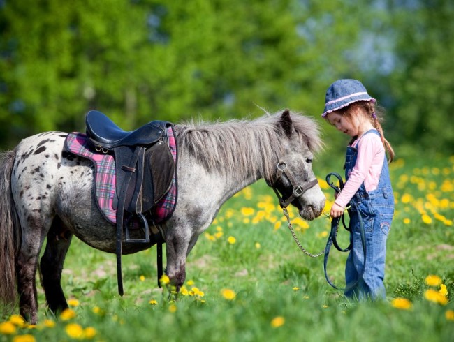Pony reiten für Kinder bis 12 Jahre im Abenteuerland Kleinarl © Shutterstock